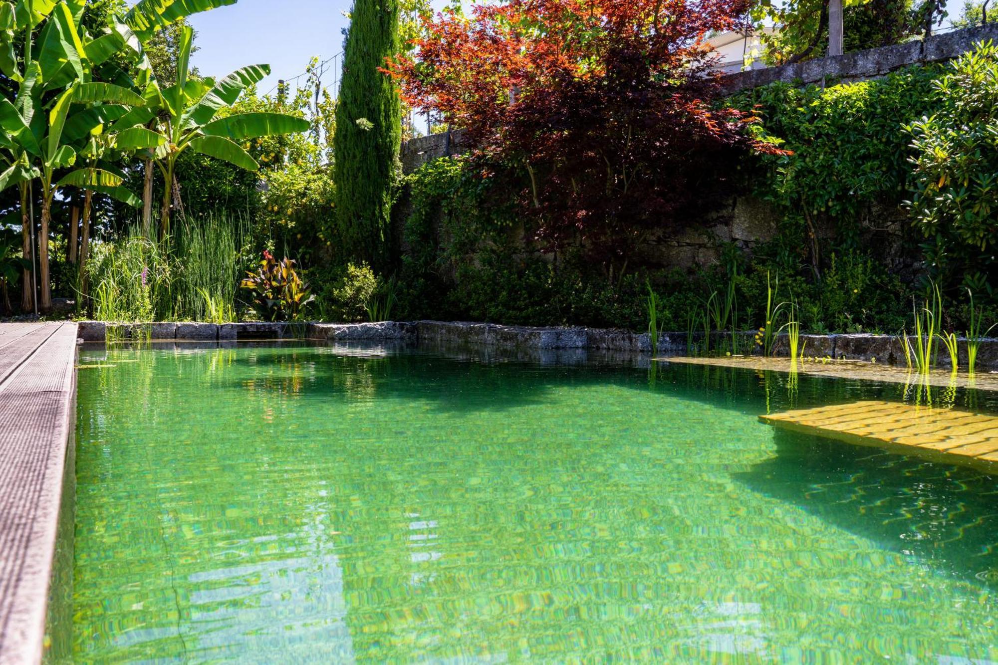 Gondomar Guimaraes - Moradia V3 Com Piscina Natural By House And People Dış mekan fotoğraf